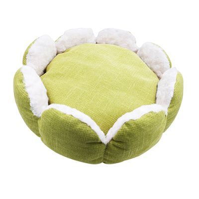 pet_0036_01.jpg