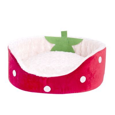pet_0002_01.jpg