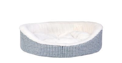 pet_0068_01.jpg