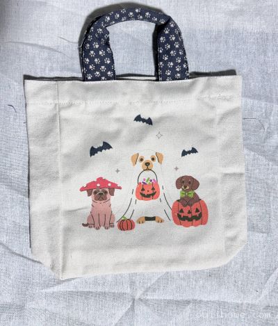 bag-202605062